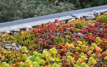 the cost of Sharnal Street green roof installation