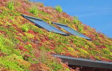 Sharnal Street living roof systems